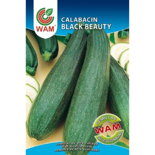 Semillas de Calabacín Black Beauty