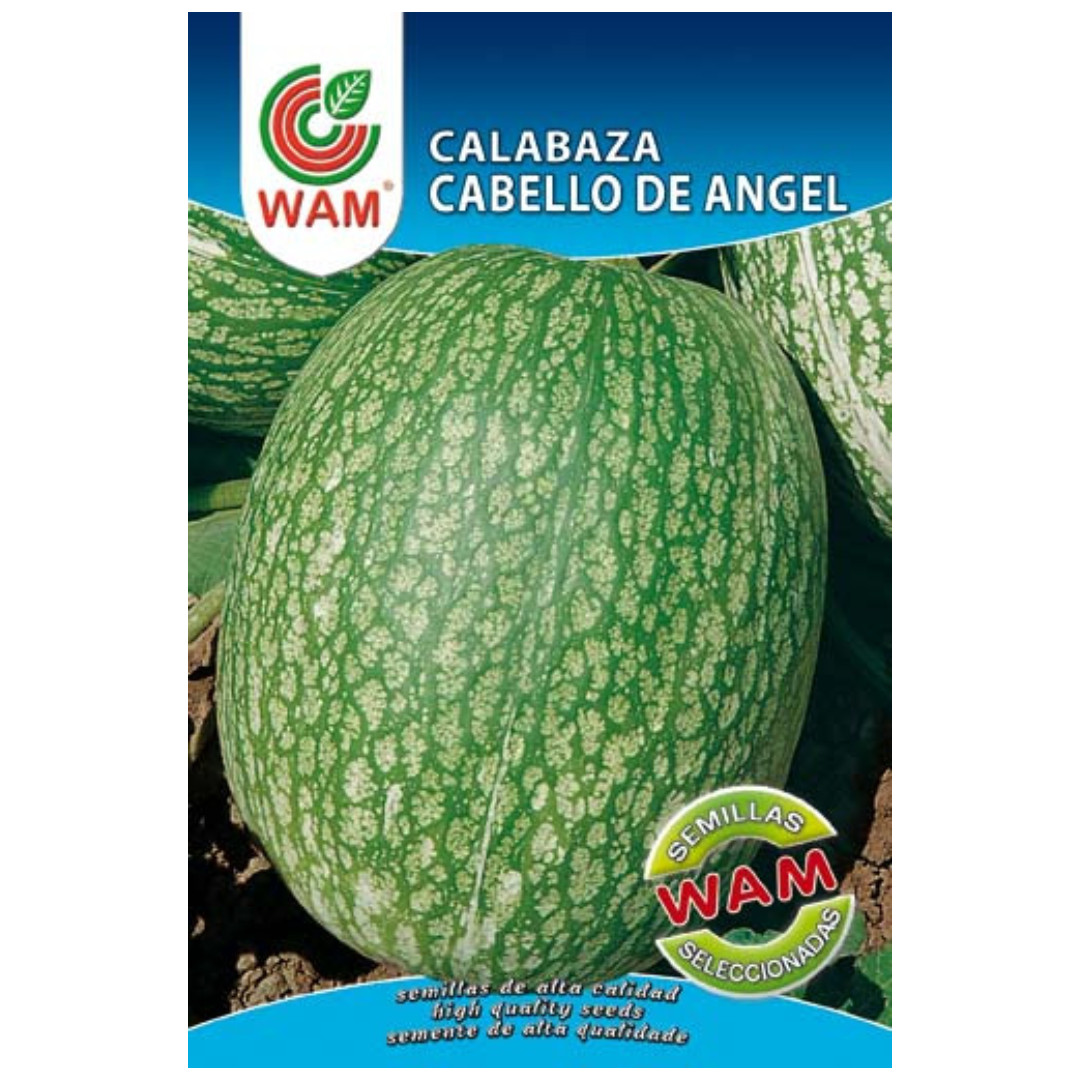 Semillas de Calabaza Cabello de Ángel