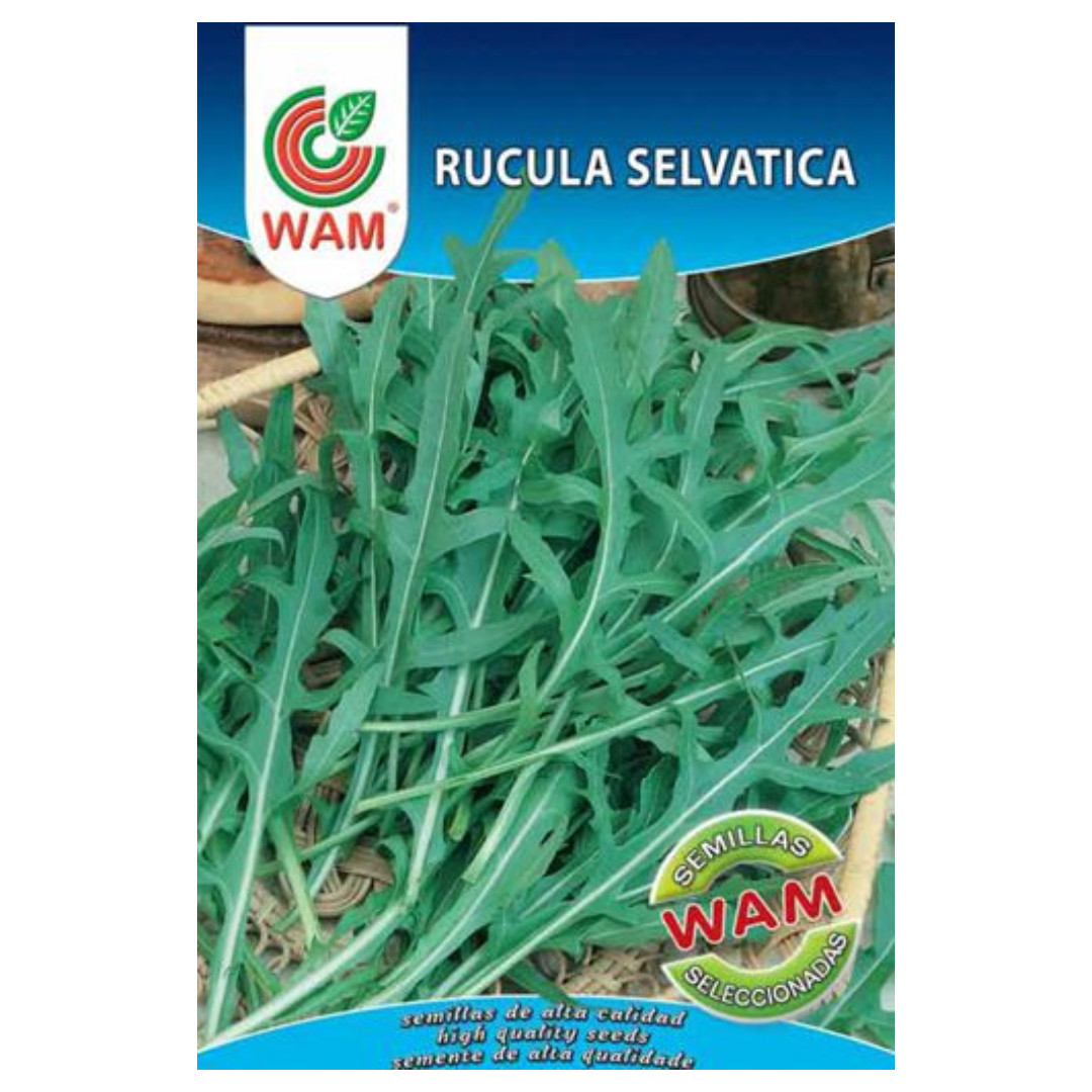 Semillas de Rúcula selvática