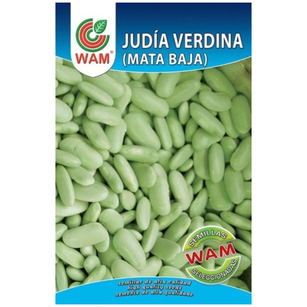 Semillas de Alubia Verdina 100 g