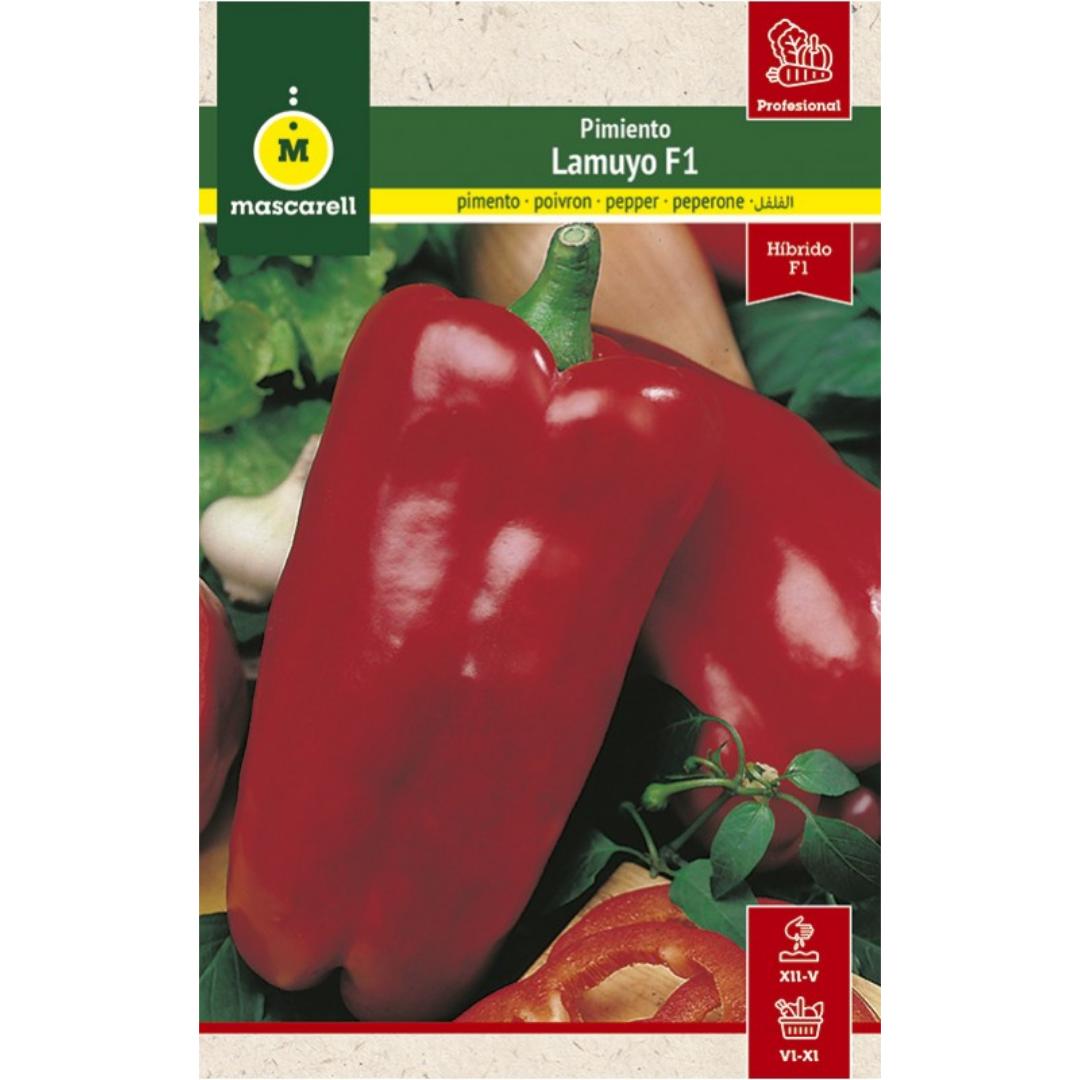 Semillas de Pimiento Lamuyo F1