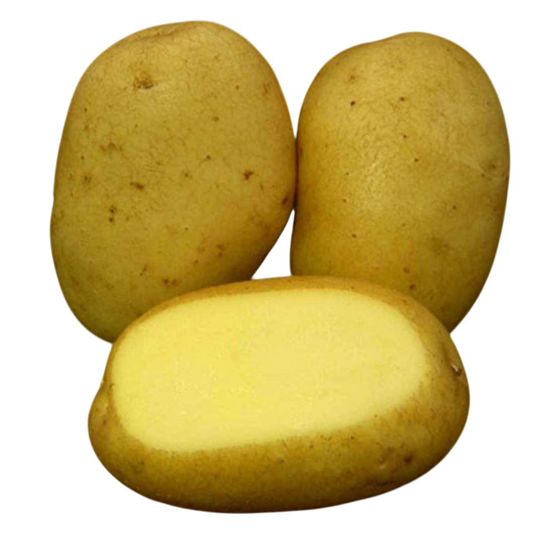 Patatas de siembra Agria mediana 25 kg - Imagen 2