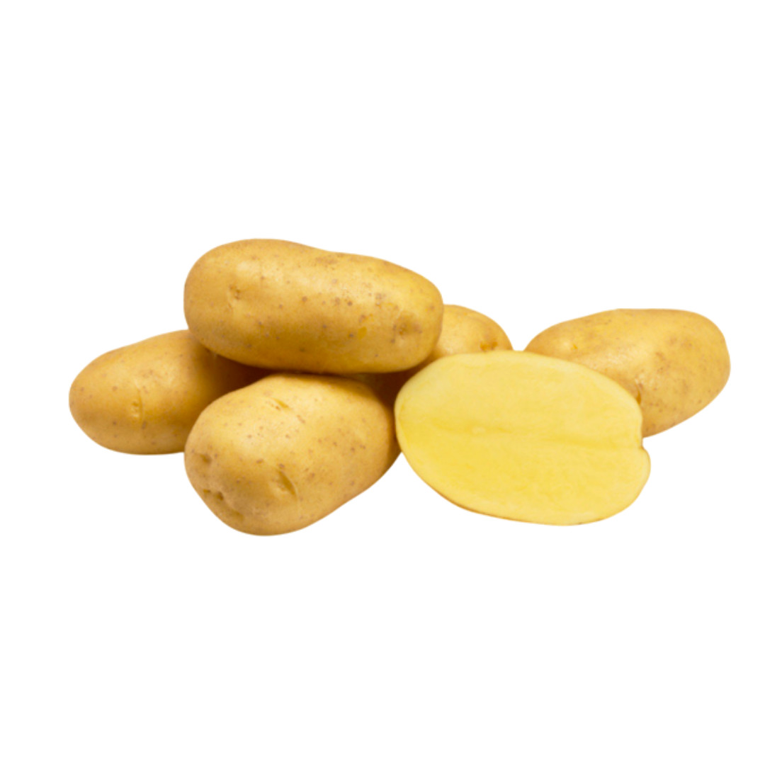 Patatas de siembra Agria mediana 25 kg