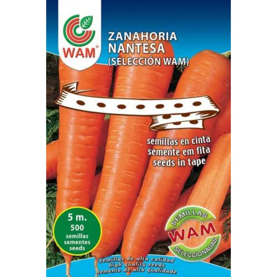 Semillas de Zanahoria Nantesa 2 en cinta