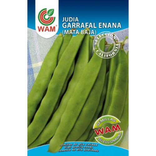 Semillas de Judía Garrafal Enana California 100 g