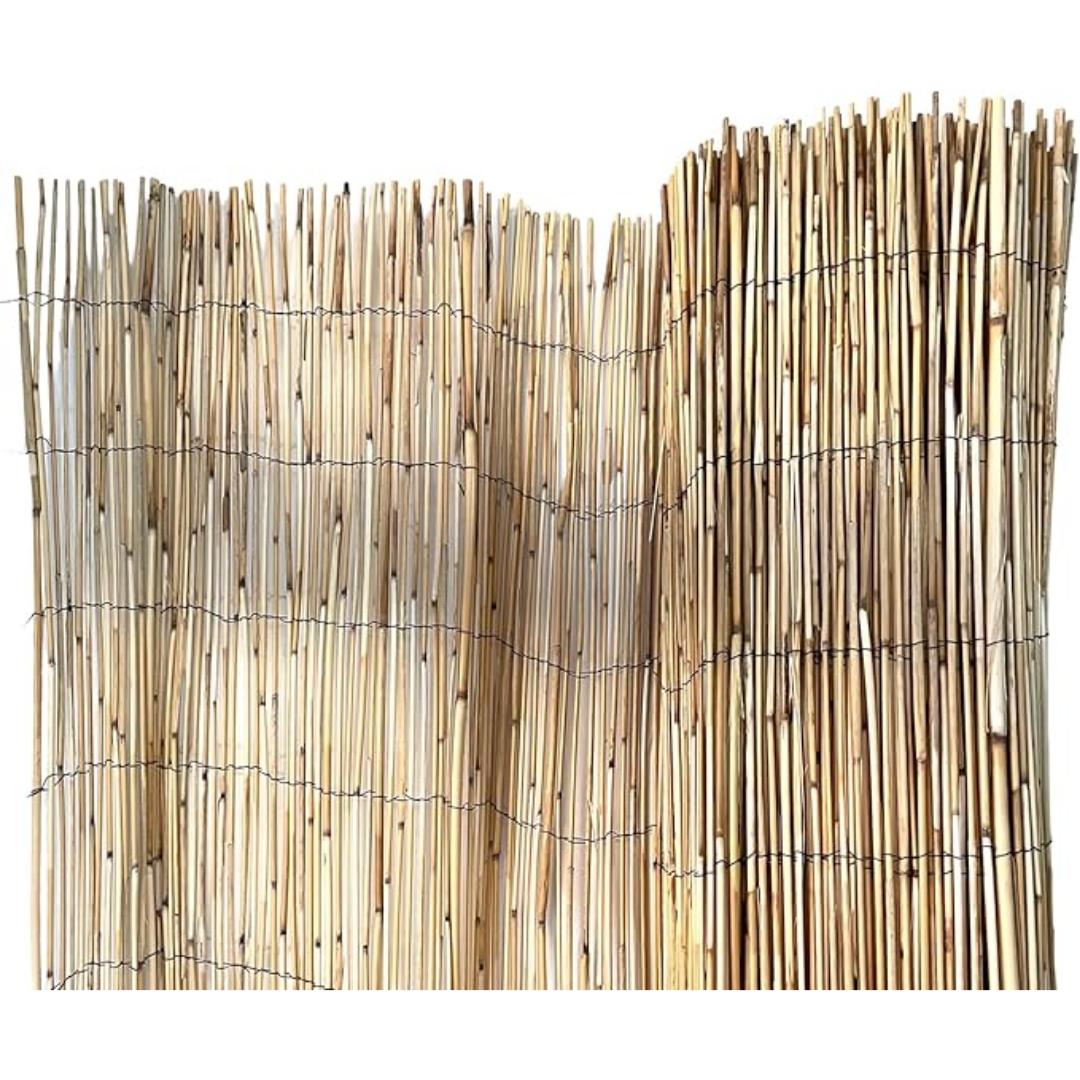 Cañizo bambú pelado natural 1x5 m - Imagen 3