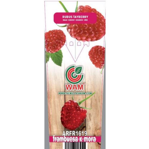 Mora Frambuesa roja Tayberry 2 l