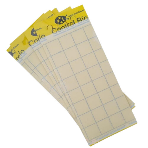 Trampa cromática amarilla 10x25 cm 1 ud