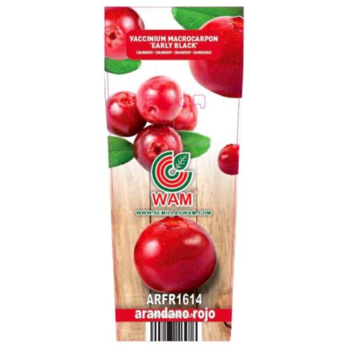Arándano rojo 2 l