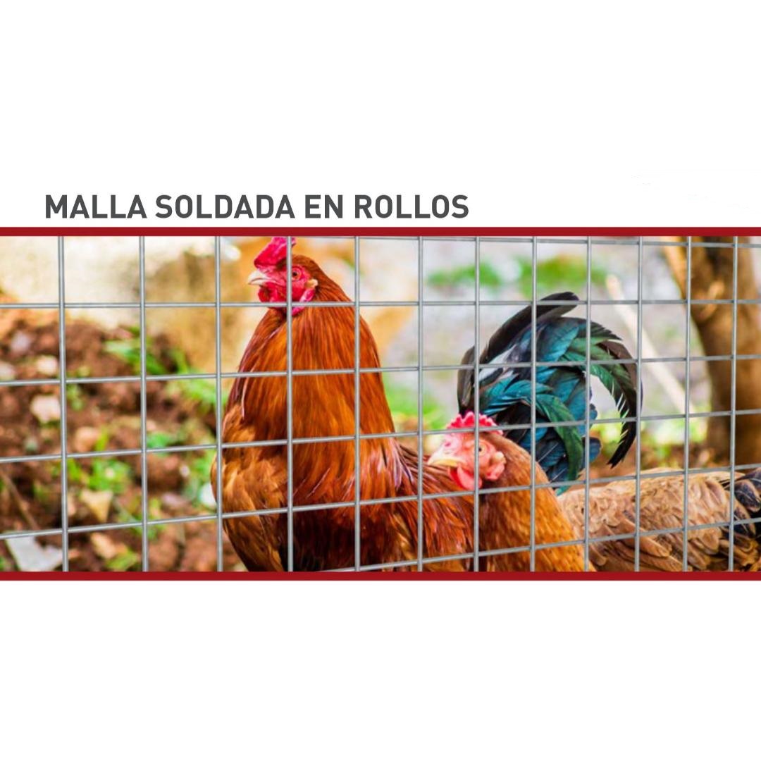 Malla electrosoldada galvanizada 12x12 mm 1x5 m - Imagen 2