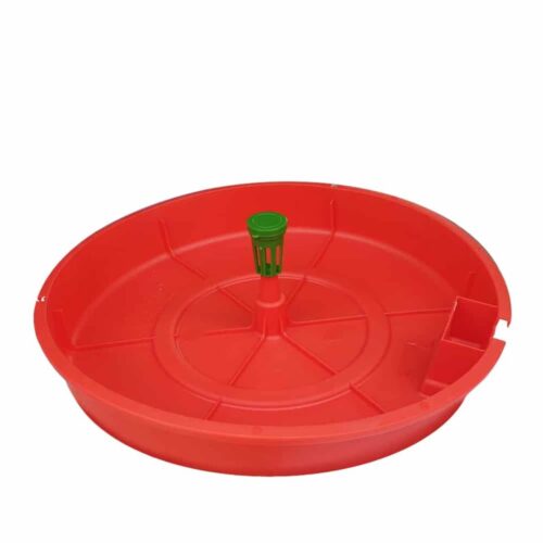 Trampa plato para Tuta Absoluta Tutasan