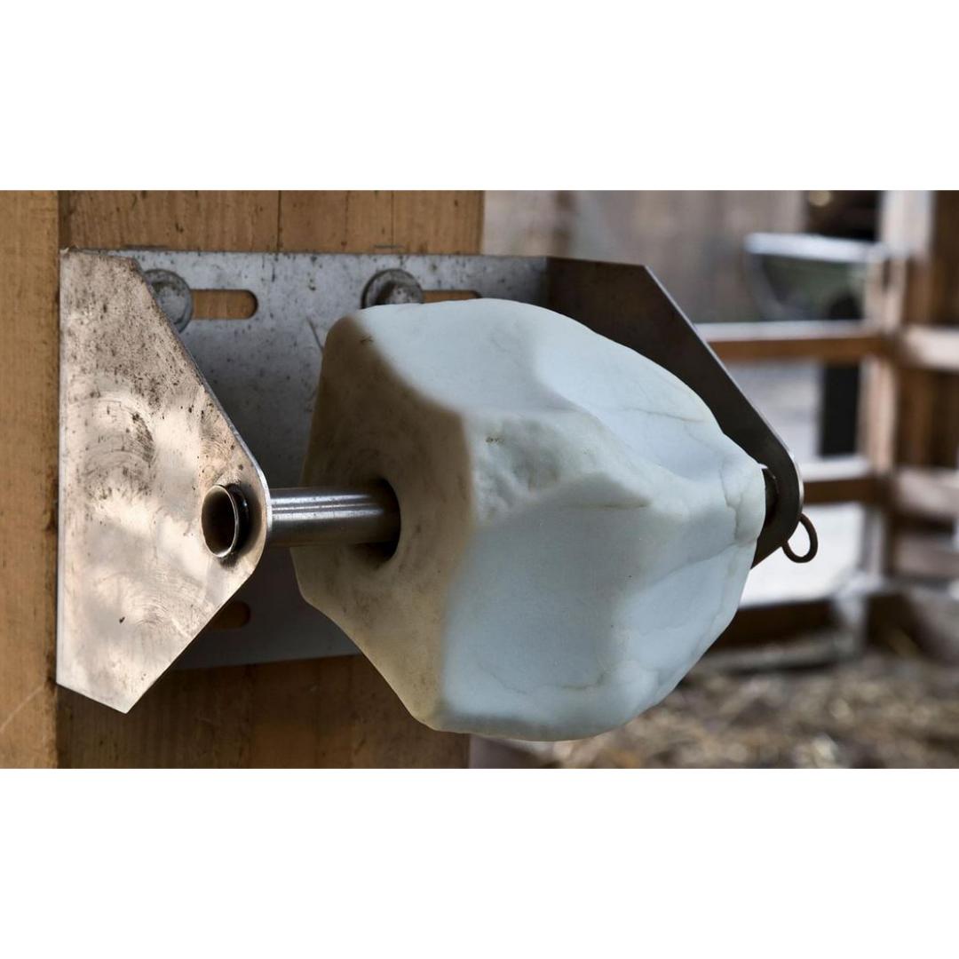Fortiblock bloque mineral 10 Kg - Imagen 2