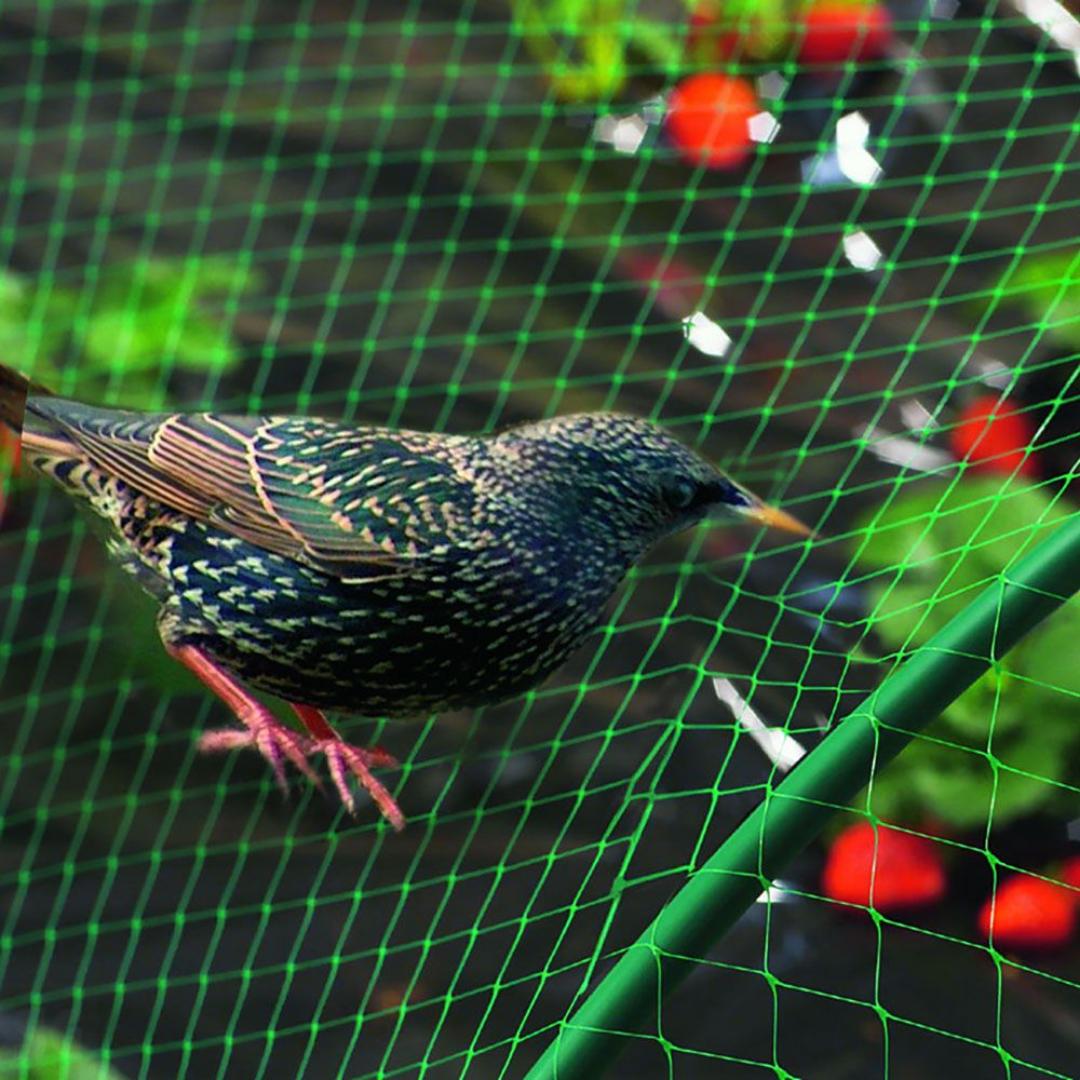 Malla antipájaros 2x10 m verde Nortene - Imagen 3