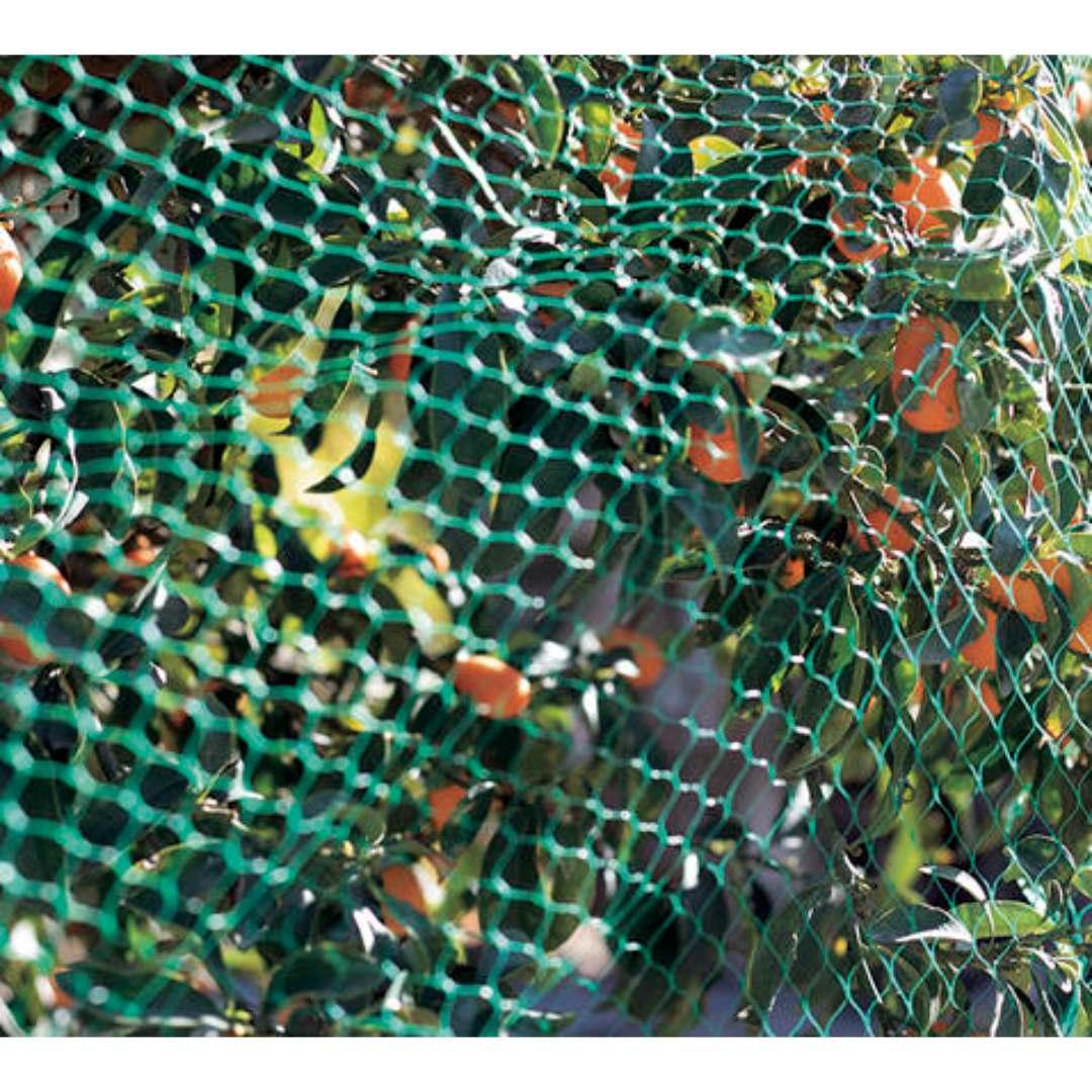 Malla antipájaros 2x10 m verde Nortene - Imagen 4