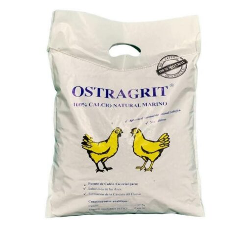 Conchilla de Ostra natural 5 Kg