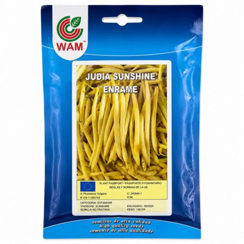 Semillas de Judía alta redonda amarilla Sunshine 100 g