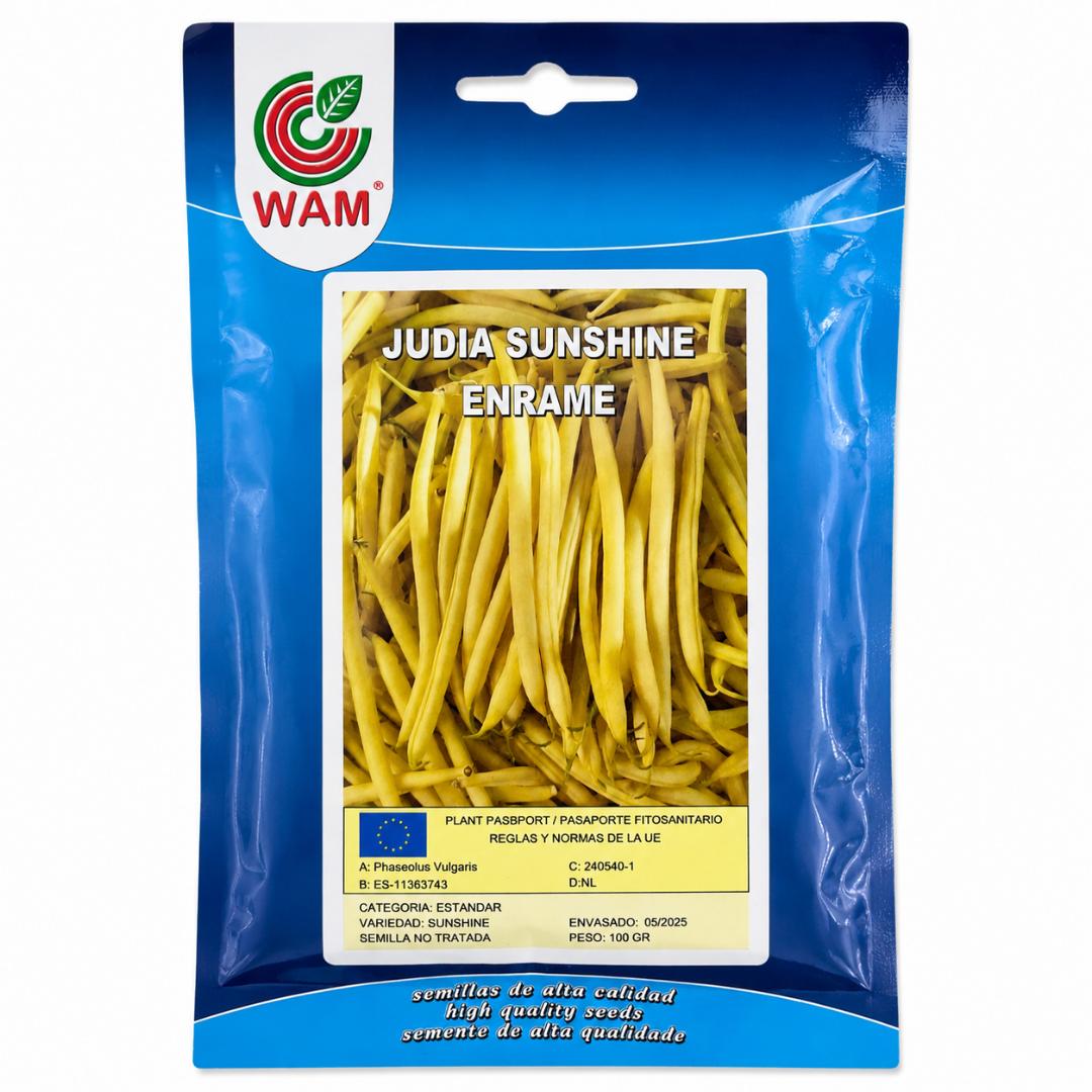 Semillas de Judía alta redonda amarilla Sunshine 100 g