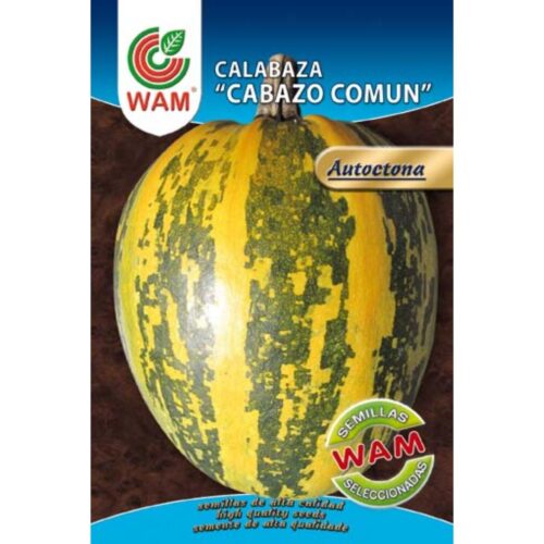 Semillas de Calabaza Cabazo común