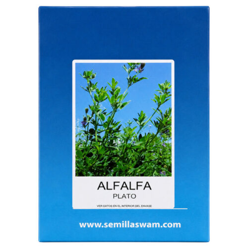 Semillas de Alfalfa Plato 1 kg