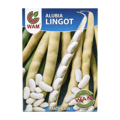 Semillas de Alubia Lingot  250 g