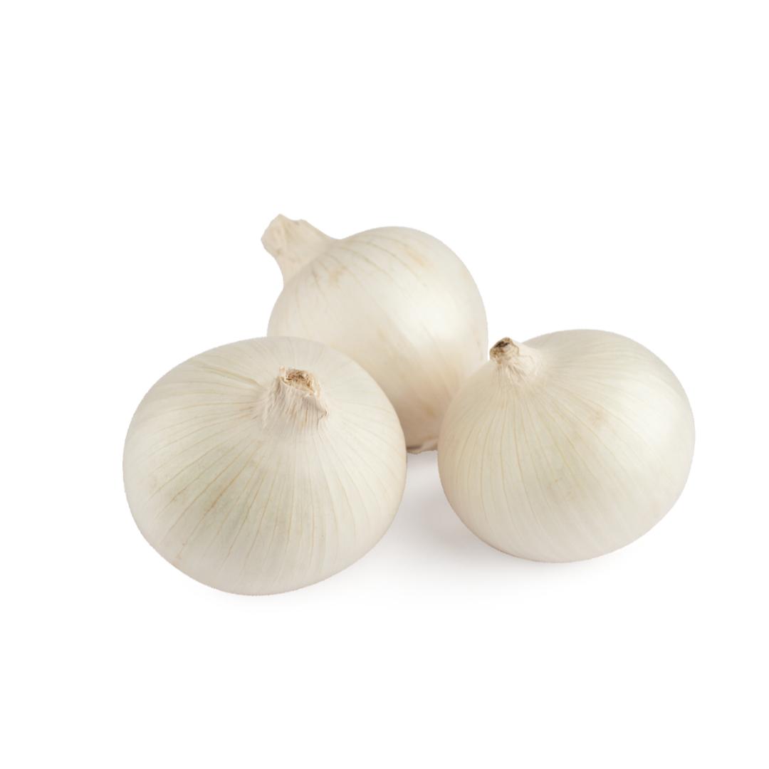 Cebolla Blanca Snowball para siembra 400 g