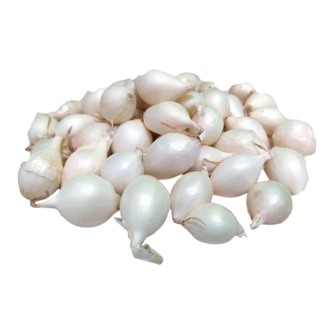 Cebolla Blanca Snowball para siembra 400 g - Imagen 2