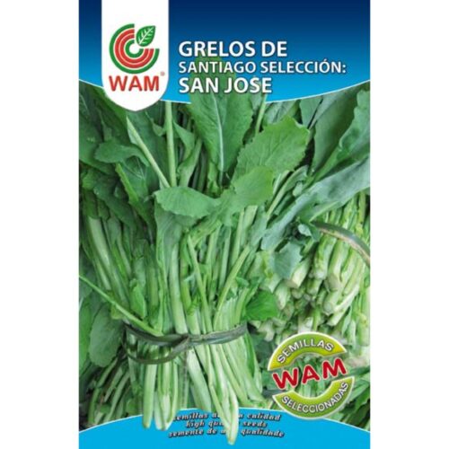 Semillas de Grelos de Santiago selección San José 100 g