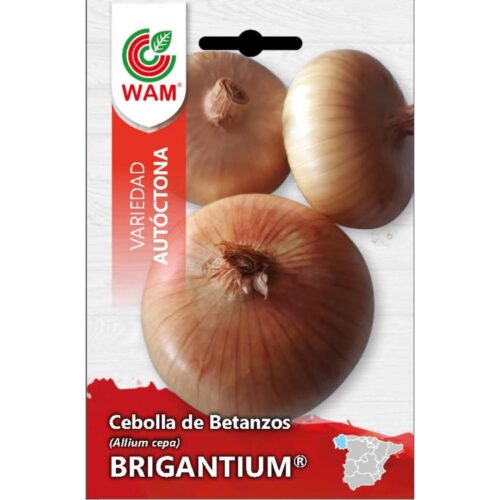 Semillas de Cebolla de Betanzos Brigantium