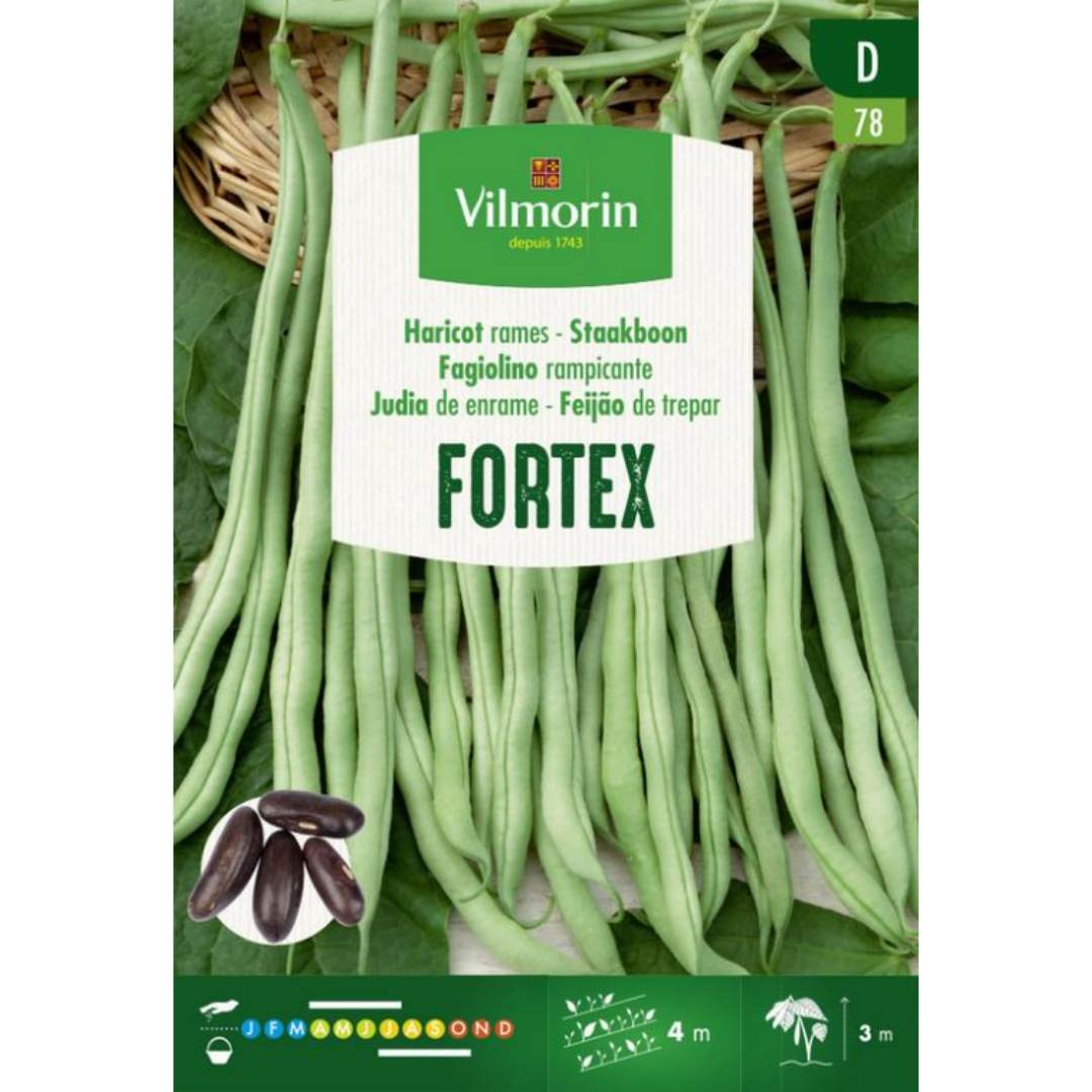 Semillas de Judía alta redonda Fortex 80 g